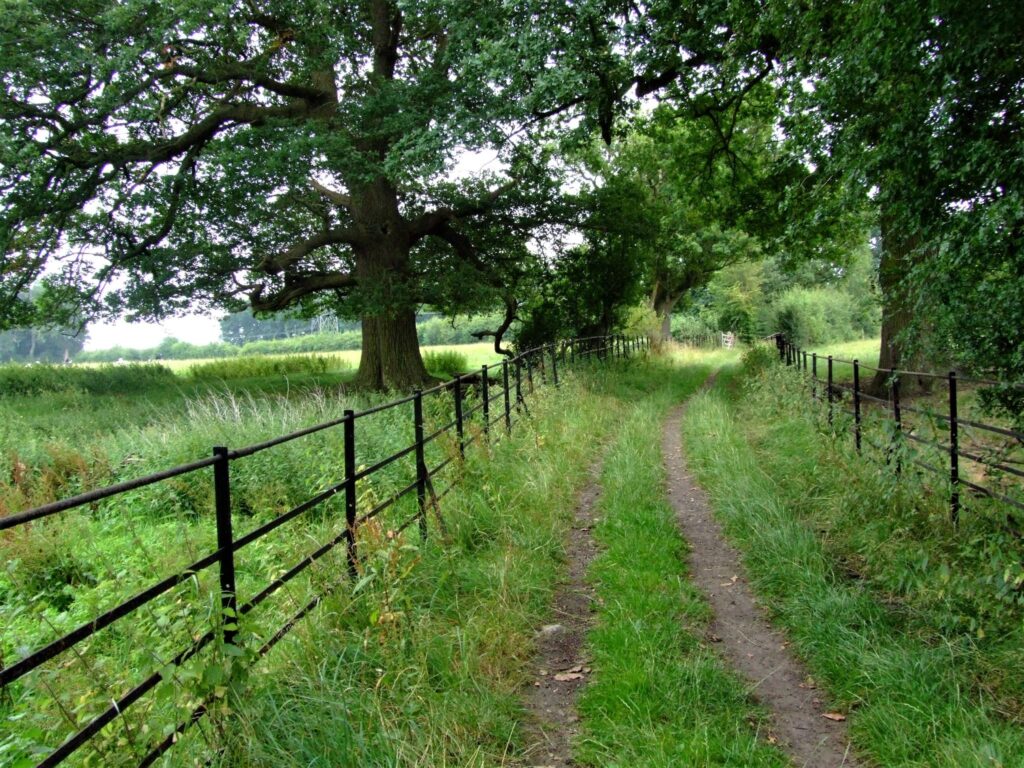 Countryside