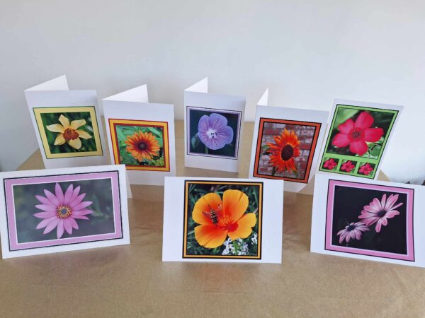 Flowers Photo Greetings Cards - A6 Size - Pack of 2