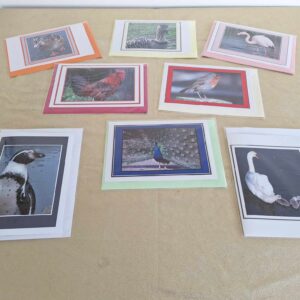 Birds Photo Greetings Cards - A6 Size - Pack of 2