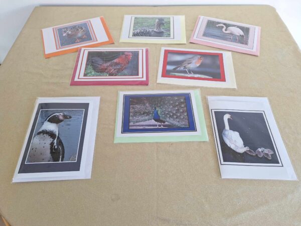 Birds Photo Greetings Cards - A6 Size - Pack of 2