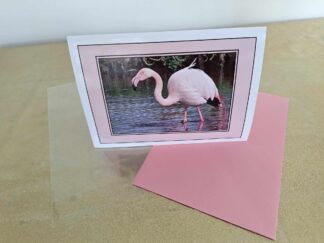 Photo Greetings Cards