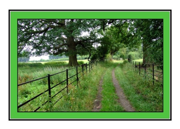 A Country Path Photo Greetings Card