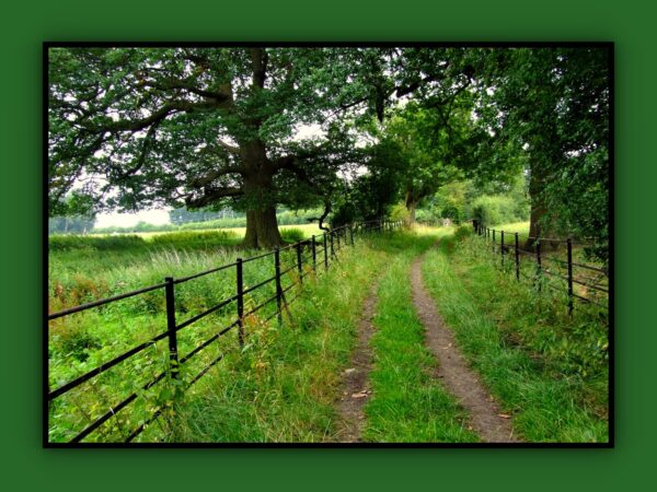 A Country Path Photo Print