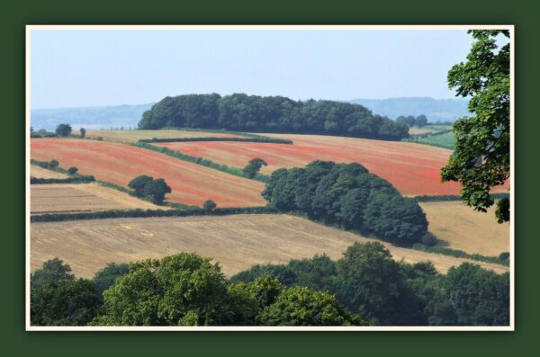 Agricultural Land Photo Print