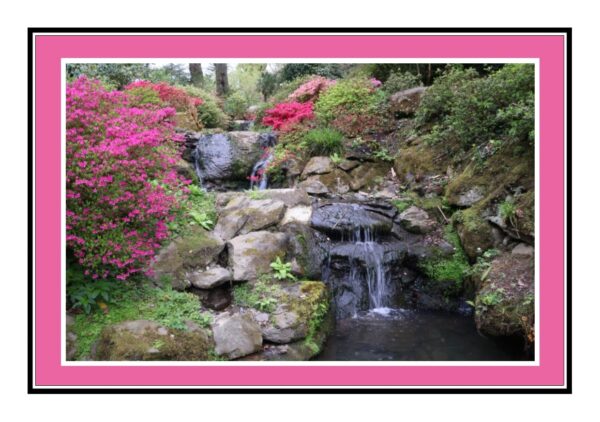 Bodnant Gardens Photo Greetings Card