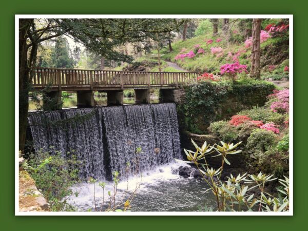 Bodnant Gardens Bridge & Waterfall Photo Print