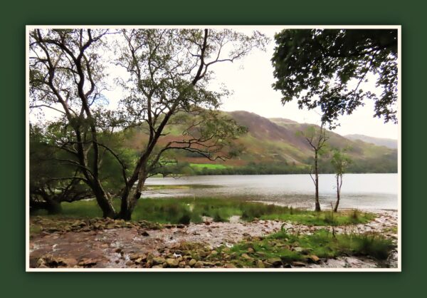 Buttermere Countryside Photo Print