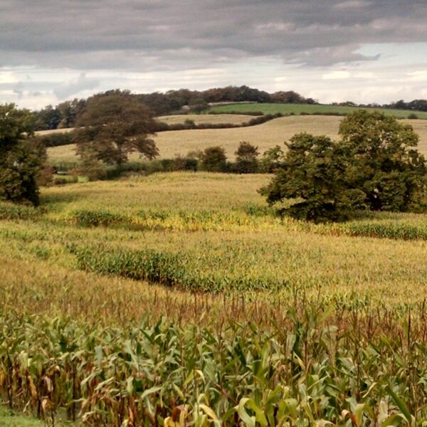 Cheshire Plain Photo Greetings Card