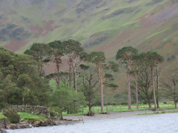 Buttermere, Cumbria Photo Greetings Card