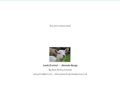 Lamb Portrait A6 Photo Greetings Card - Image 4