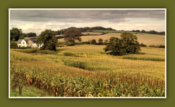 Raw Head Farmland Photo Print