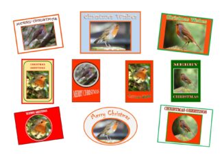 Robin Redbreast Photographic Christmas Cards - Pack of 10