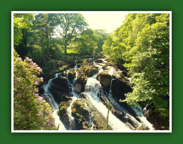 Swallow Falls Photo Print